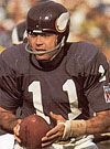 Joe Kapp