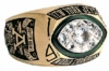 Super Bowl-Ring